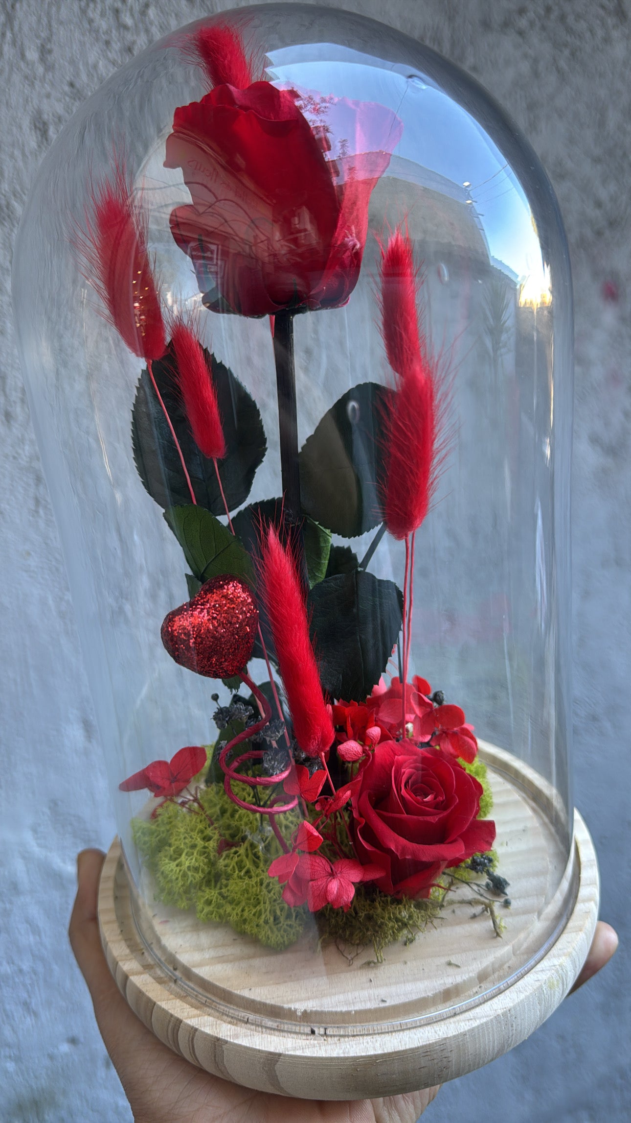 Rose éternelle sous cloche - L’amour à jamais ❤️✨XXL