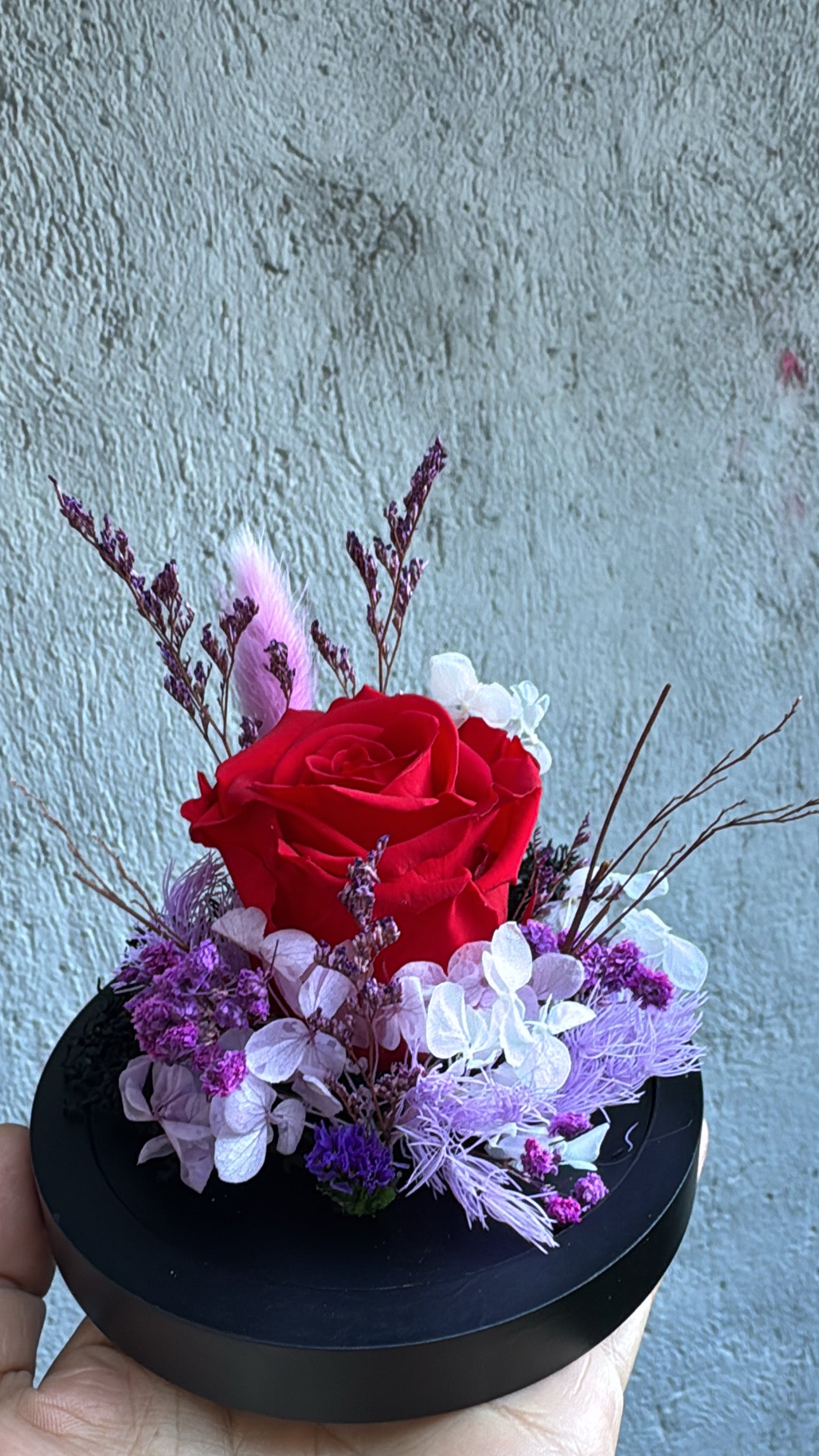 Rose éternelle - Édition Saint-Valentin ❤️✨