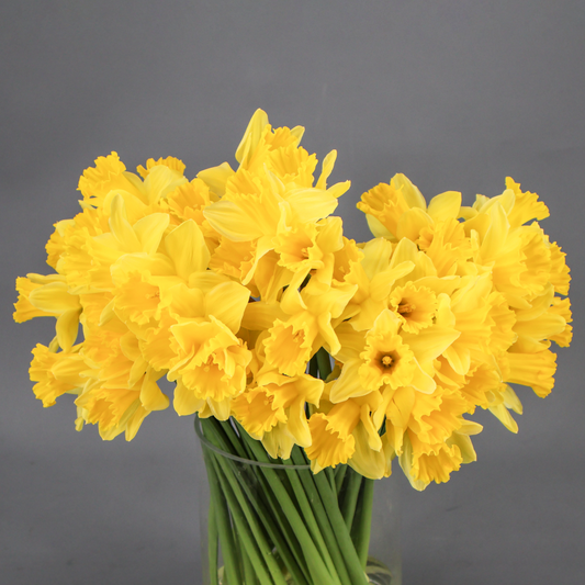 🌼 Joyeuse Fête des Mamies ! 🌼( bouquets de 25 tiges 7,50€)