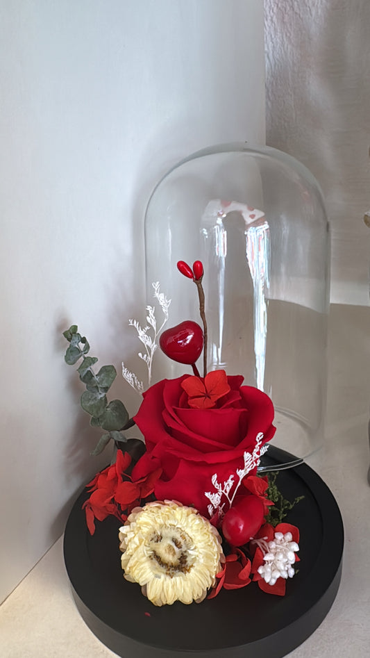 🌹 Rose Sous Cloche Rouge Pernelle ✨